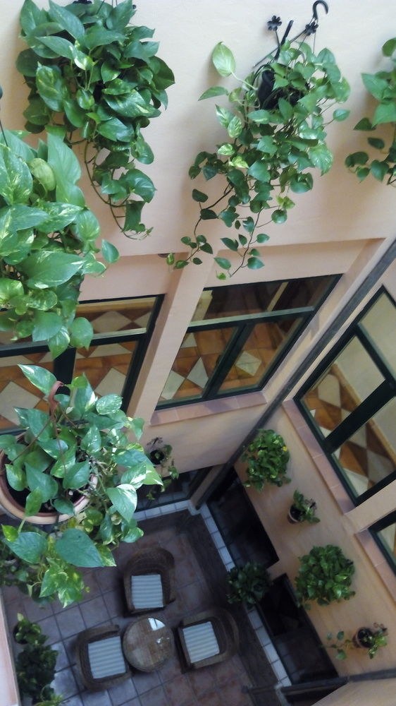 Hotel Las Nieves photo 1