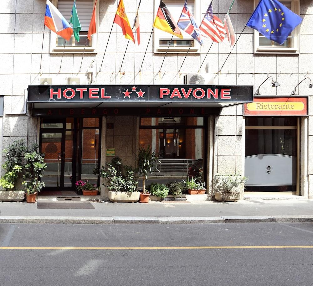 PAVONE photo 3