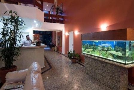 AMARILIS FLAT SERVICE photo 2