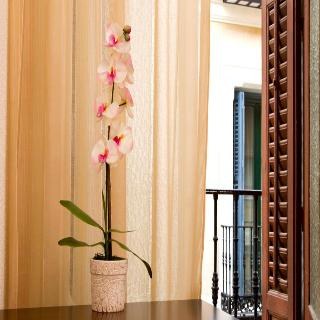 HOSTAL CONDESTABLE photo 2