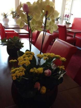 Hotel Allure photo 1