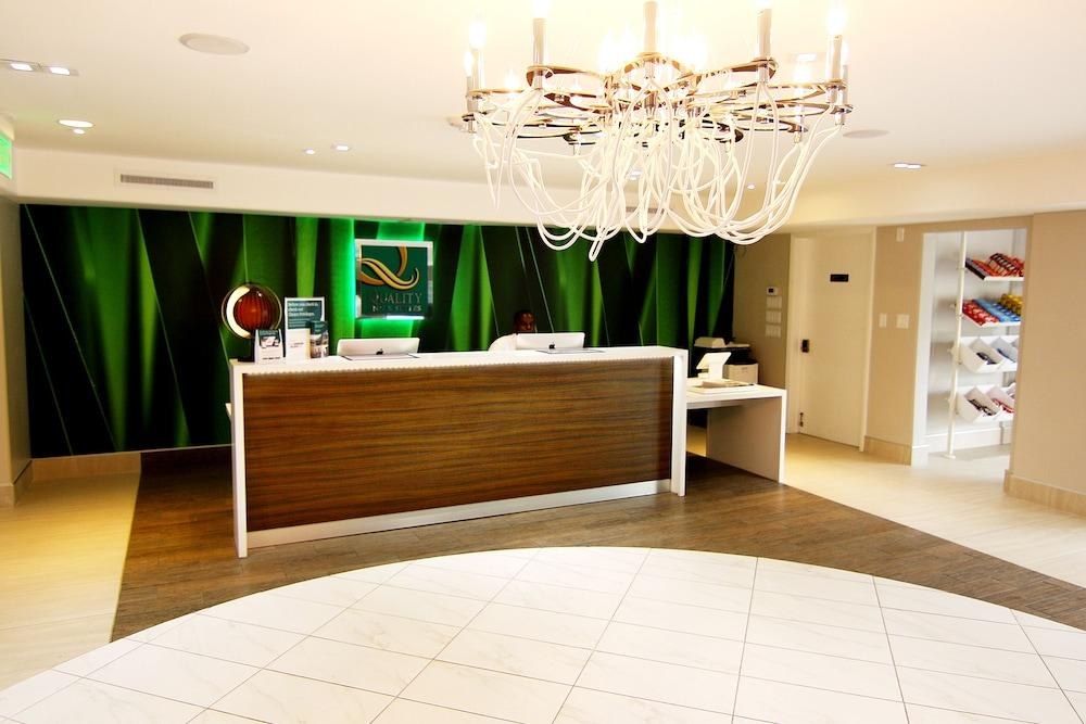 QUALITY INN & SUITES BY THE PARKS photo 4