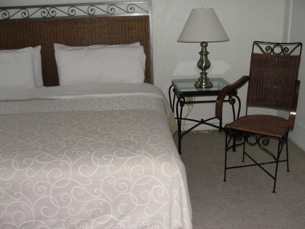Steinhaus Homero photo 1