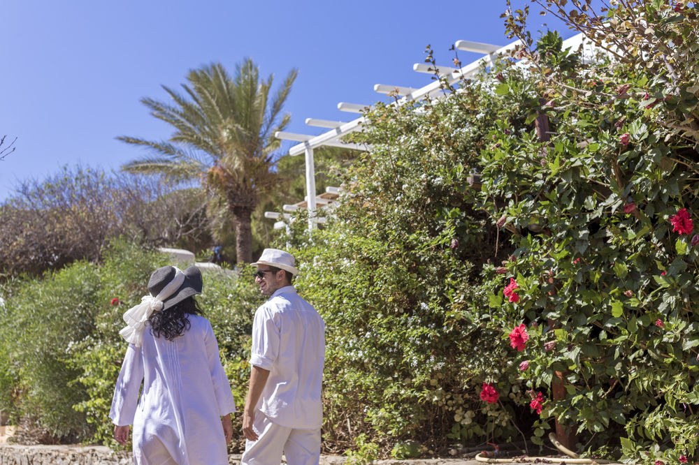 Rhenia Hotel