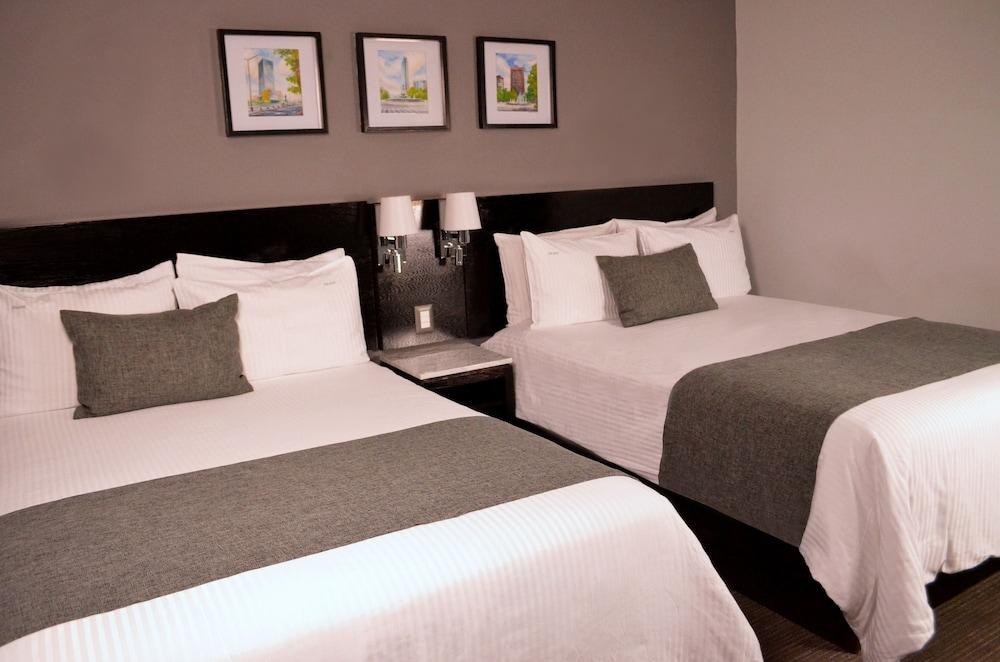 LAILA HOTELS CDMX photo 2