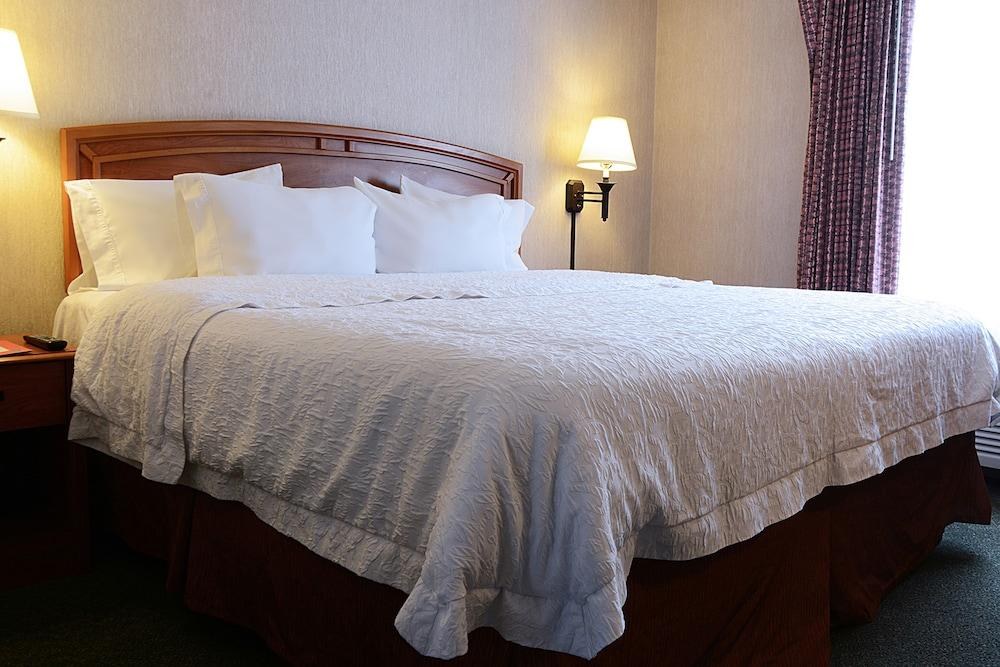 Hampton by Hilton Saltillo photo 3