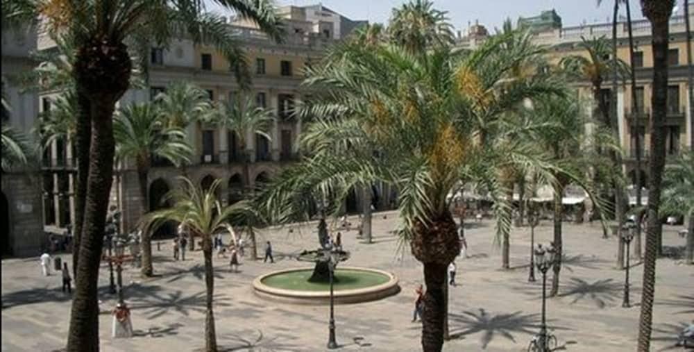 Roma Reial photo 2