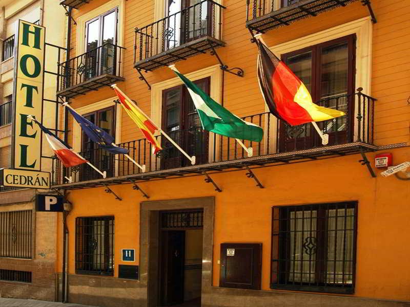Cedran photo 3