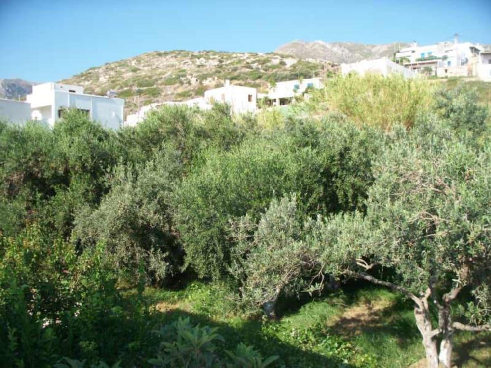 Adonis Hotel photo 4