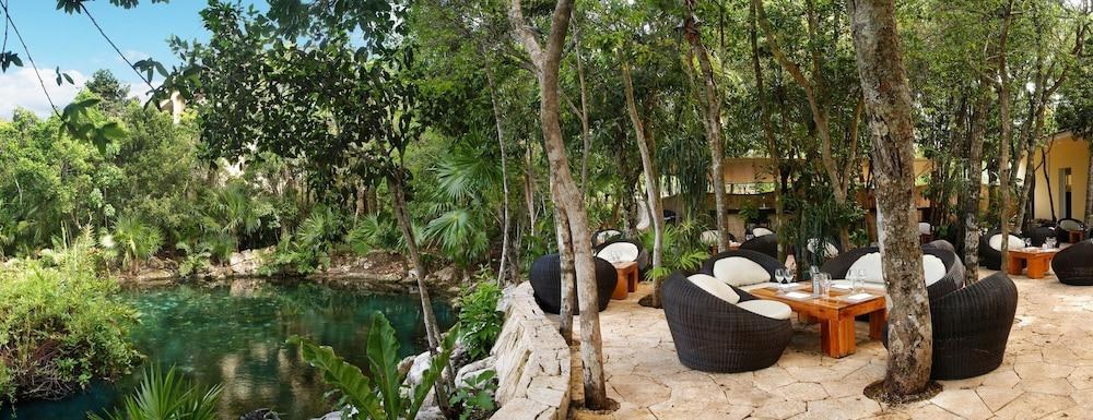 CATALONIA ROYAL TULUM-ADULTS ONLY photo 3