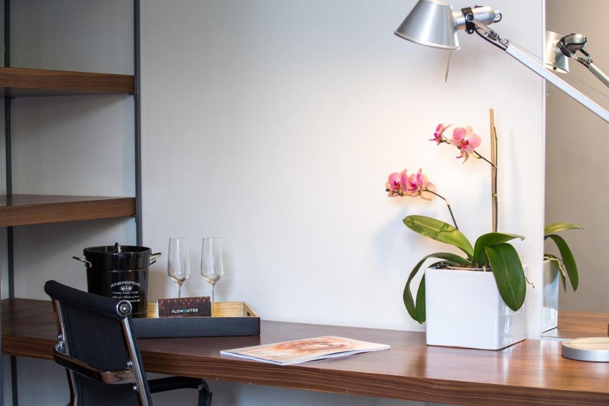 FLOWSUITES POLANCO photo 4