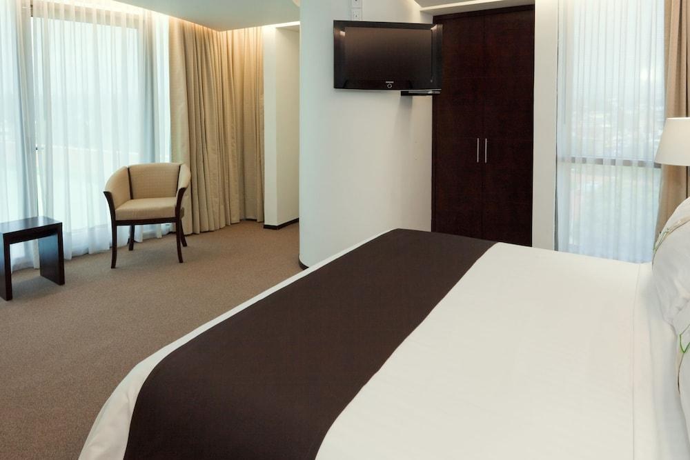 Holiday Inn Hotel & Suites Medica Sur by IHG photo 4