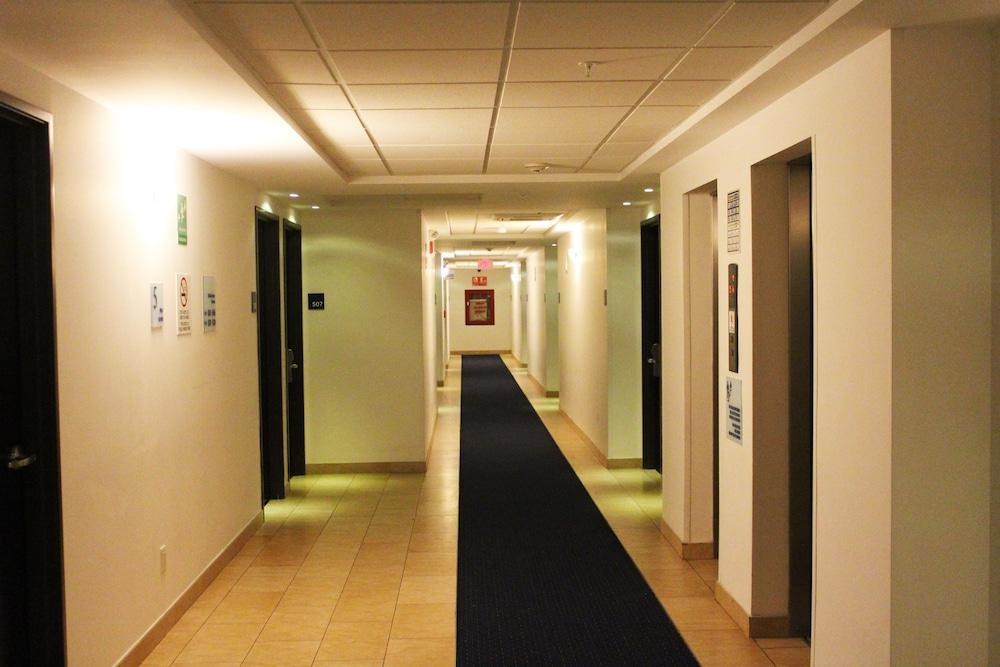 Holiday Inn Express Mérida by IHG photo 2