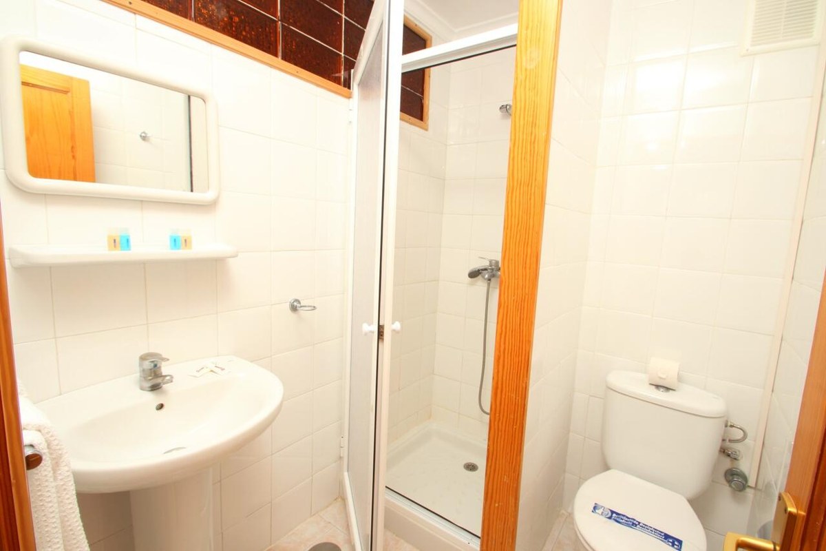 APARTAMENTOS STRELITZIAS photo 4