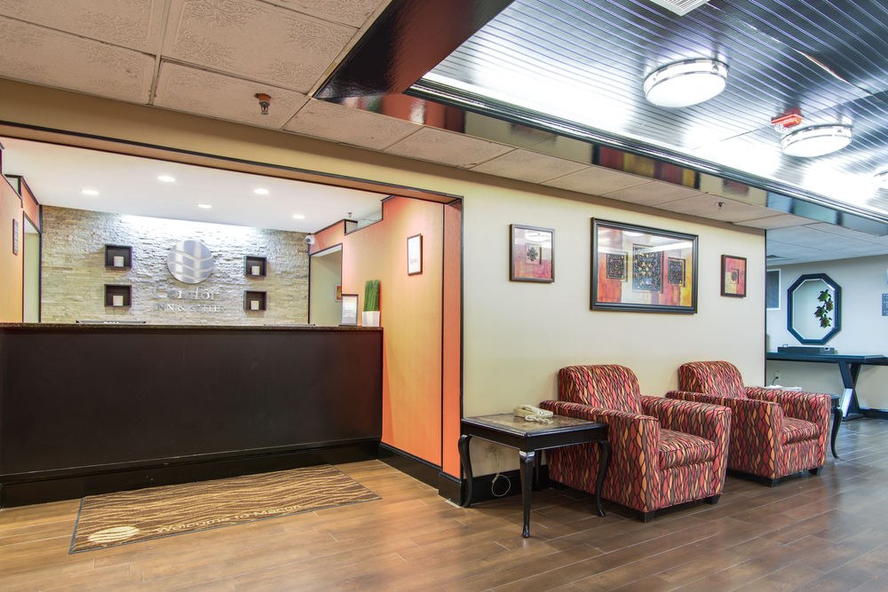 COMFORT INN & SUITES photo 1