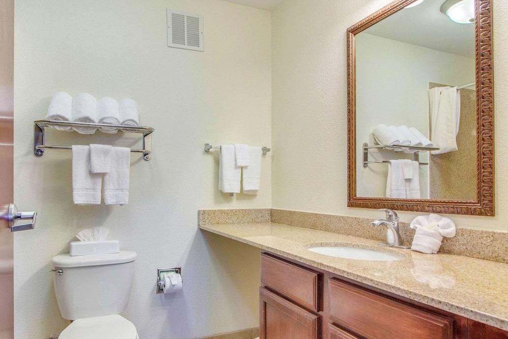 MAINSTAY SUITES TEXAS MEDICAL CENTER/RELIANT PARK photo 3
