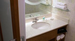 SPRINGHILL SUITES MIAMI DOWNTOWN/MEDICAL CENTER photo 3