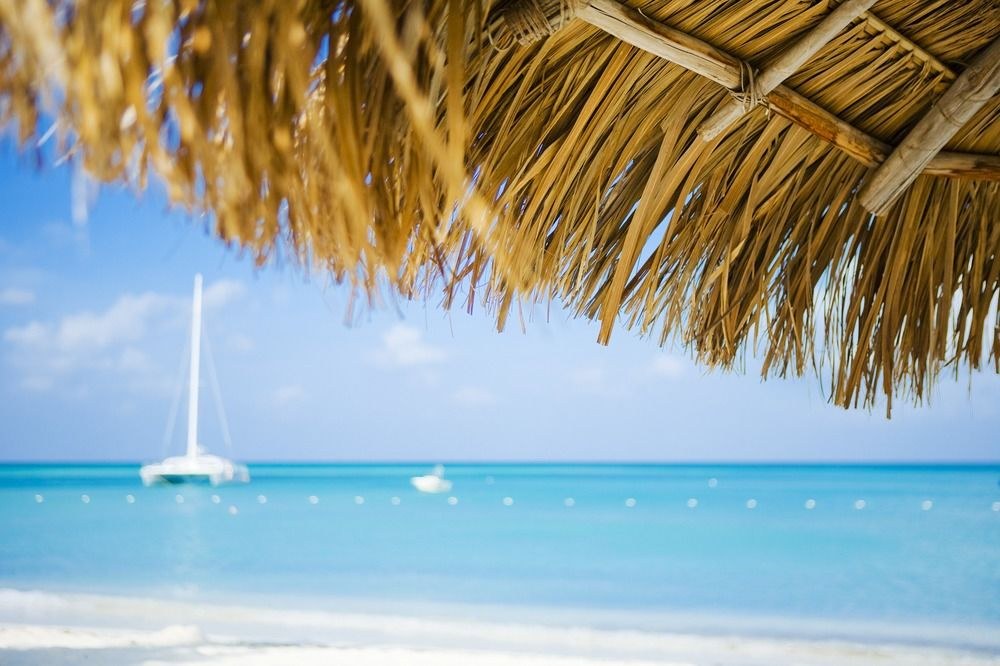 HYATT REGENCY ARUBA RESORT AND CASINO photo 1