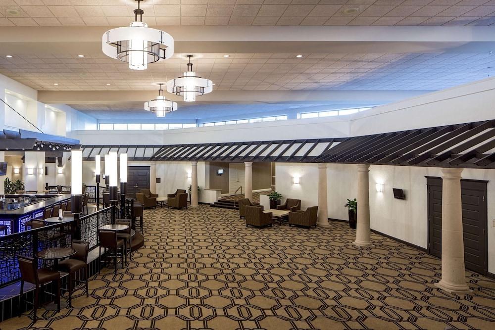 HILTON HOUSTON GALLERIA AREA photo 4