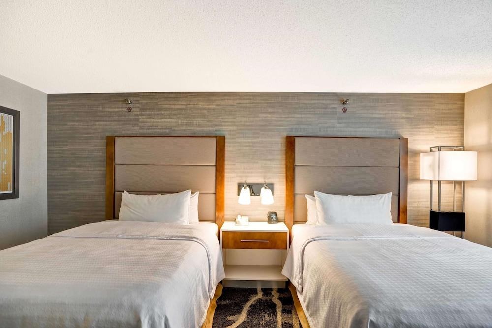 Homewood Suites by Hilton Chicago-Downtown photo 3