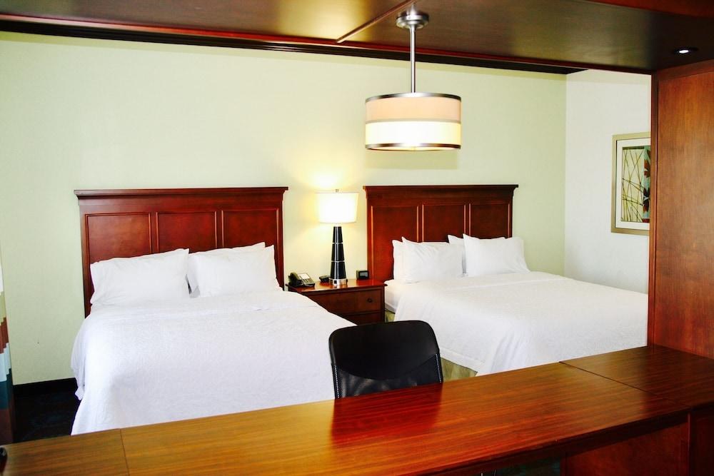 Hampton Inn & Suites San Antonio/Northeast I-35 photo 4