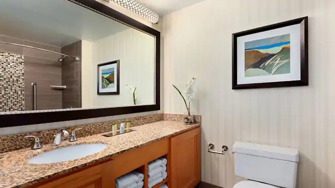 DoubleTree Suites by Hilton Orlando - Disney Springs Area photo 3