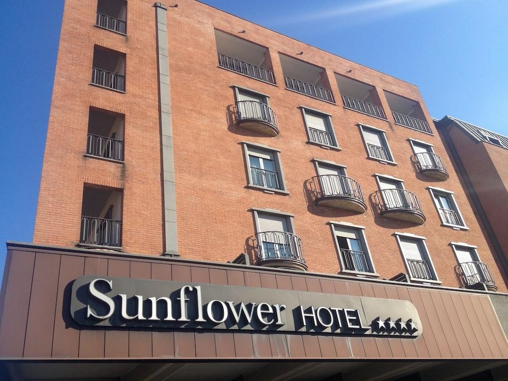 Sunflower photo 3