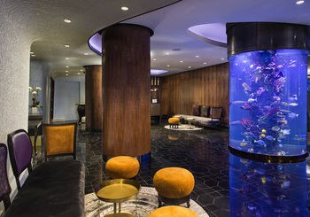 DREAM MIDTOWN