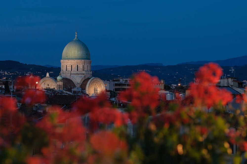 CARDINAL photo 1