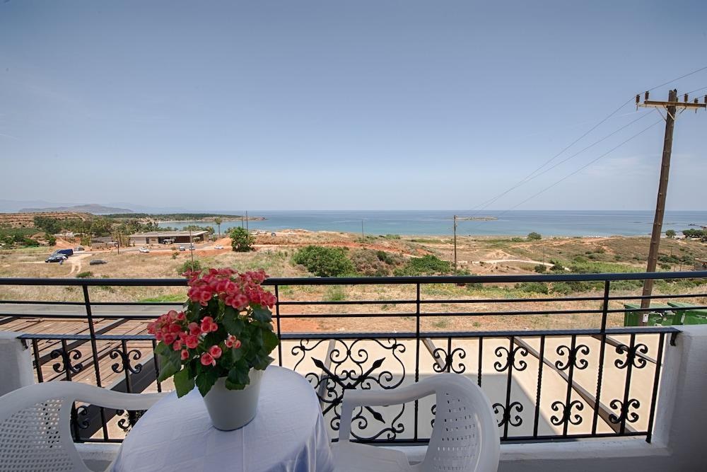 ALEXIS photo 4