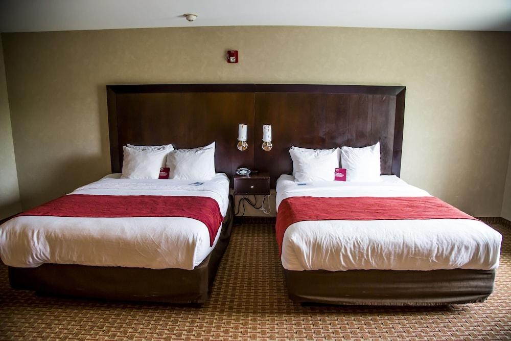 COMFORT SUITES BENTONVILLE photo 3