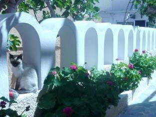 Dilino photo 1