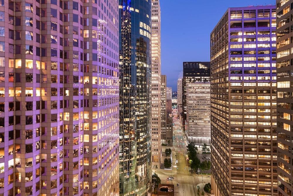 HYATT REGENCY HOUSTON photo 4