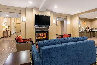 COMFORT INN & SUITES IAH BUSH AIRPORT - EAST photo 2