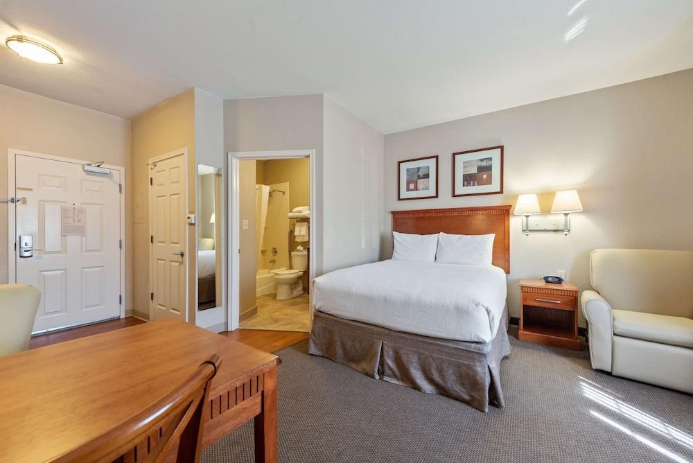 CANDLEWOOD SUITES N STONE OAK AREA photo 3