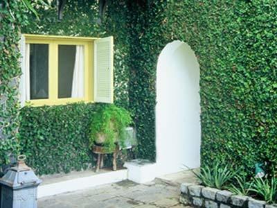 CASAS BRANCAS BOUTIQUE HOTEL & SPA photo 4