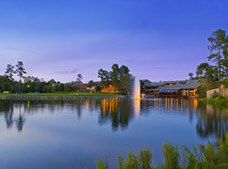 The Woodlands¿¿¿ Resort, Curio Collection By Hilton
