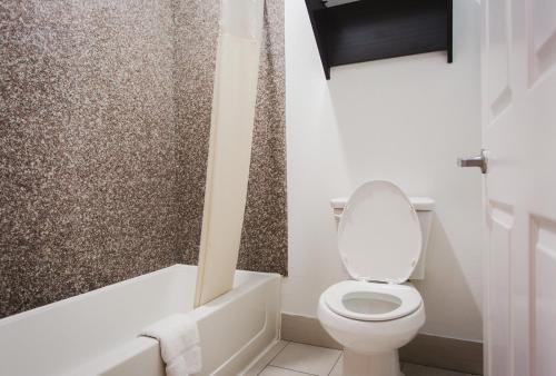MOONLIGHT SUITES photo 4