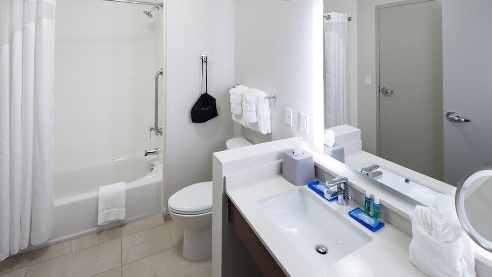 HOLIDAY INN EXPRESS & SUITES ORLANDO AT SEAWORLD photo 3