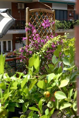 Le Fate Apartments photo 4