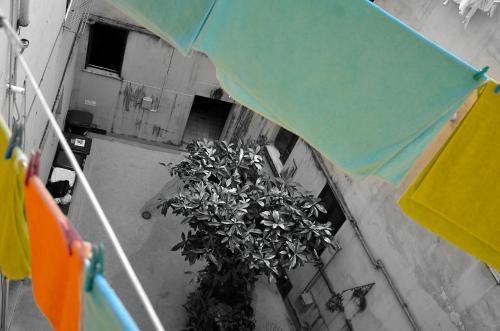 B&B Lost in Trastevere photo 4