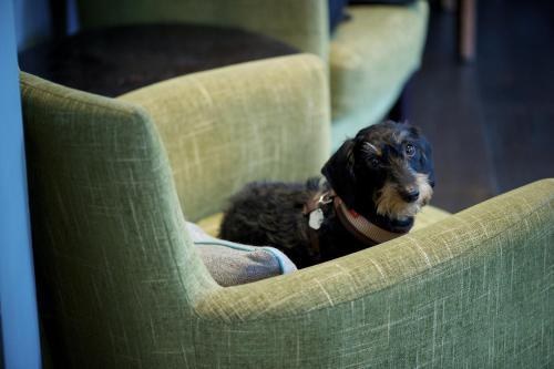 The Lodge Hotel - Putney photo 1