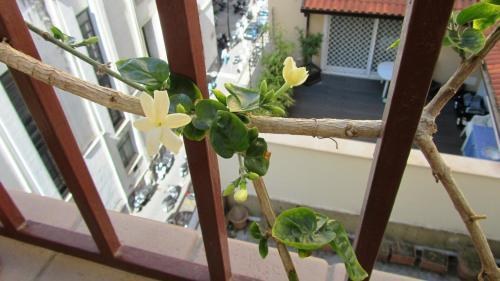 International Naples photo 3