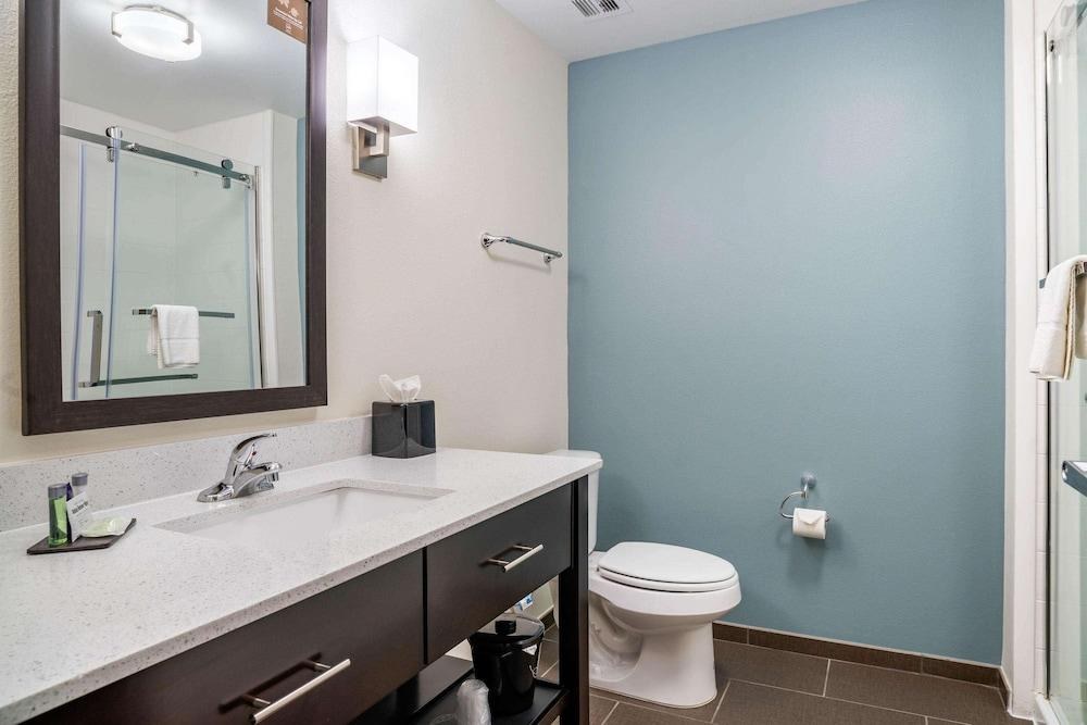 Sleep Inn & Suites near Westchase photo 3