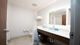 Holiday Inn Express & Suites Houston SW - Galleria Area photo 2