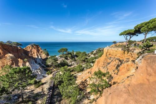 Pine Cliffs Gardens photo 3