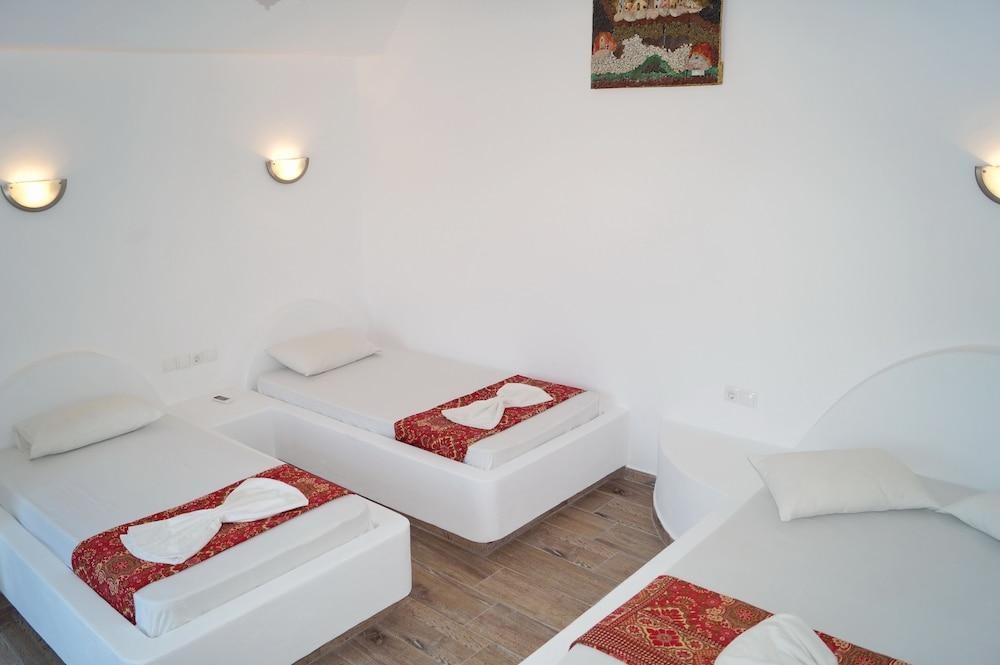 Villa Iliovasilema Santorini photo 2