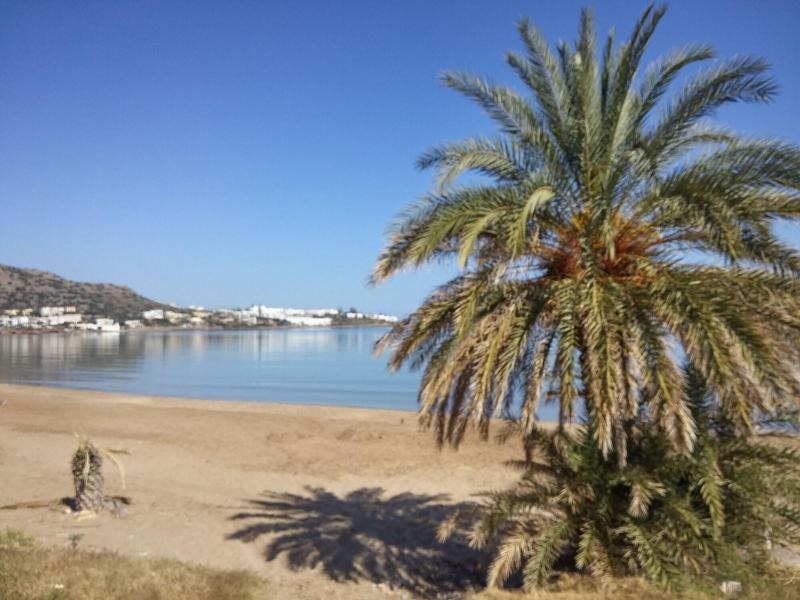 Stalis Hotel photo 1