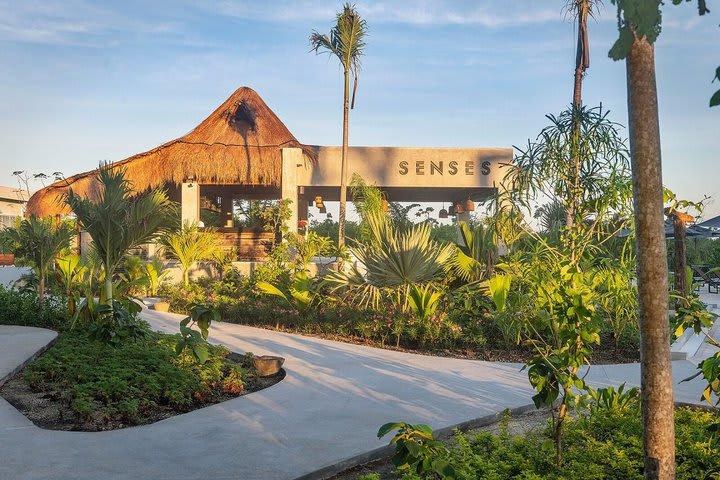 Ventus Ha at Marina El Cid Spa & Beach Resort
