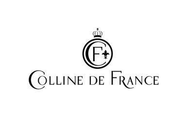 Hotel Colline de France photo 1